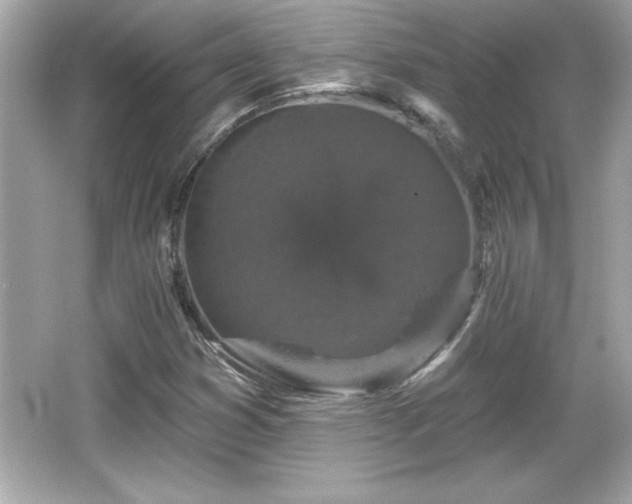 X0000066491353200603201246