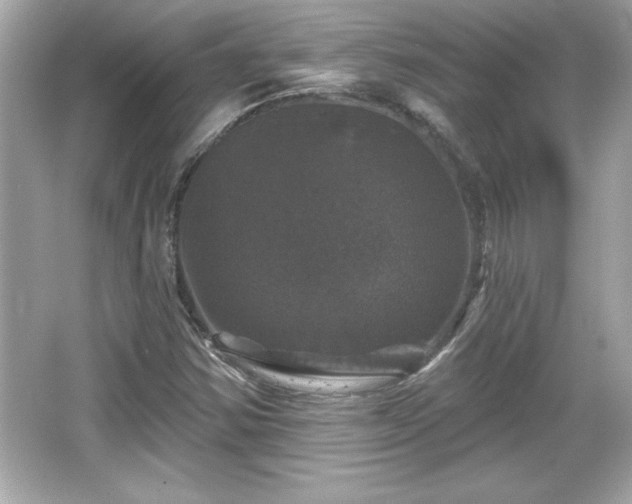 X0000066491354200603201246