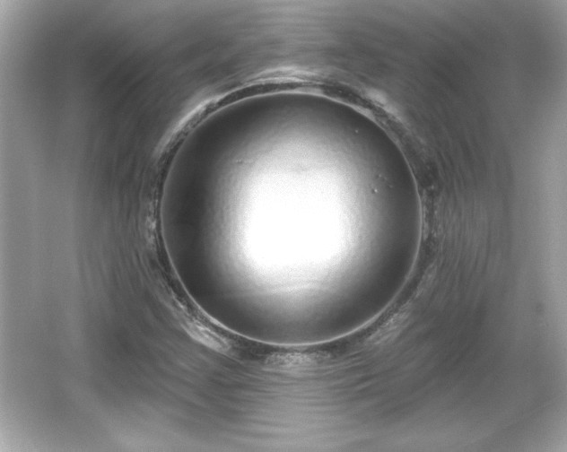X0000066491355200603201246