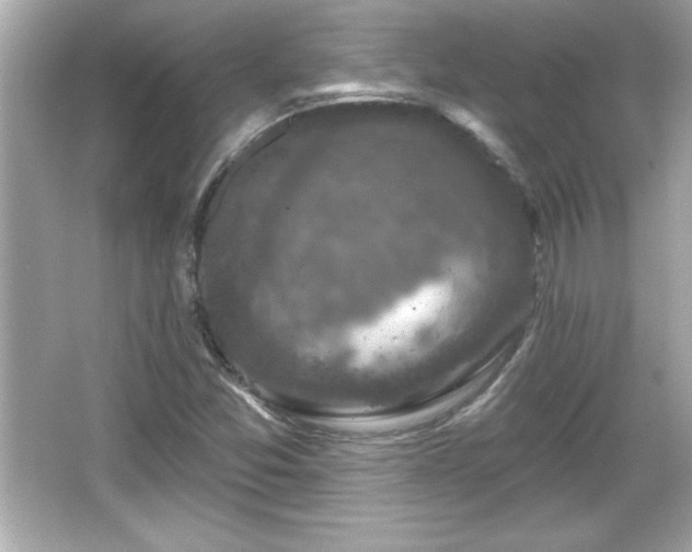 X0000066491357200603201246