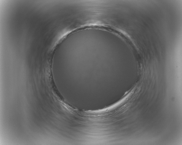 X0000066491359200603201246