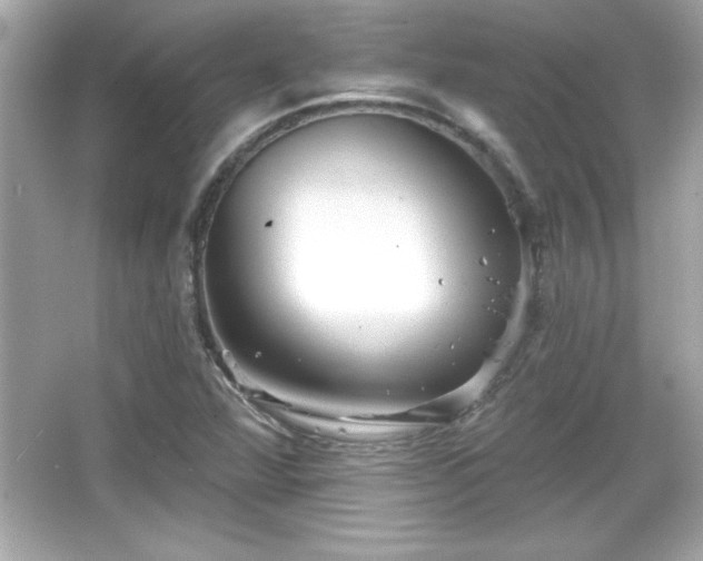 X0000066491360200603201246