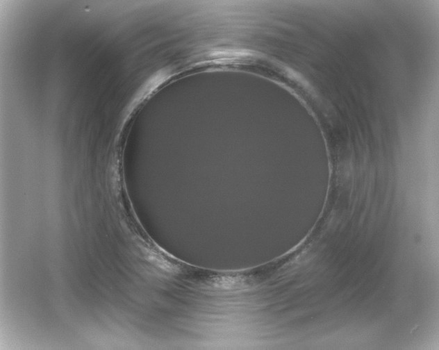X0000066491362200603201246