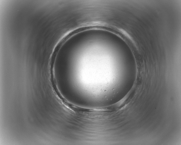 X0000066491364200603201246