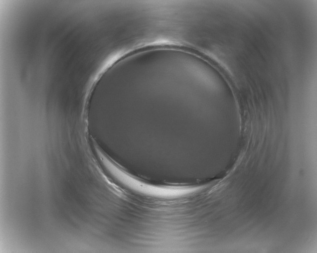 X0000066491367200603201246