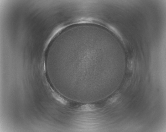 X0000066491368200603201246