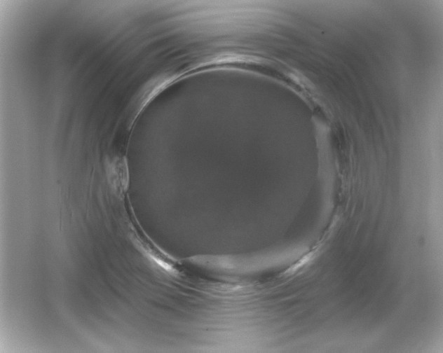 X0000066491369200603201246