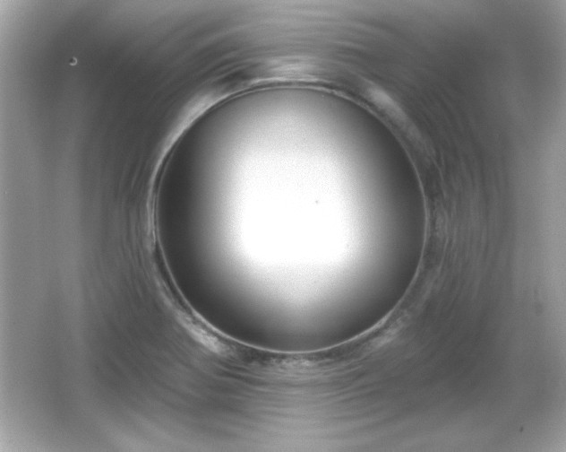 X0000066491370200603201246