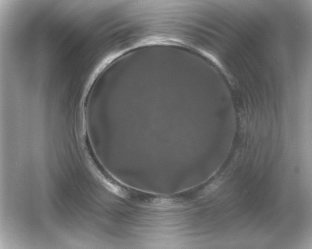 X0000066491371200603201246