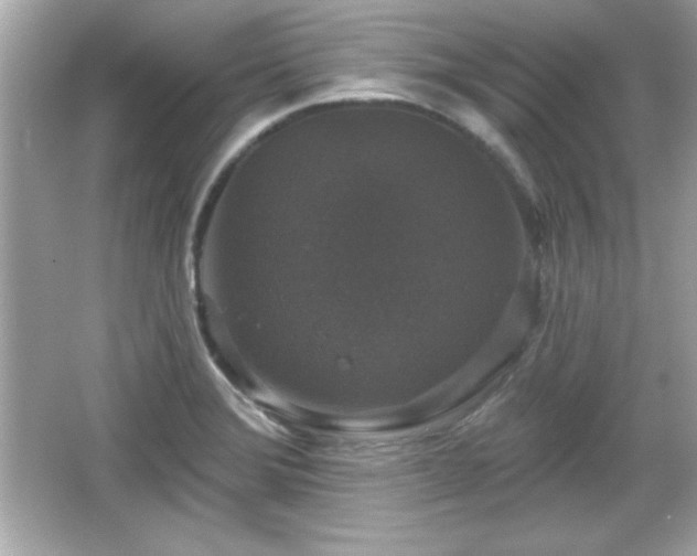 X0000066491372200603201246