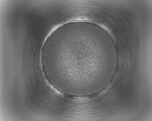 X0000066491374200603201246