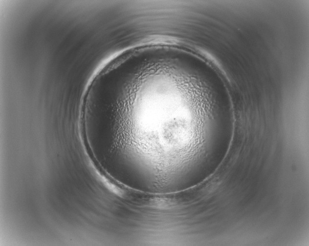 X0000066491379200603201246