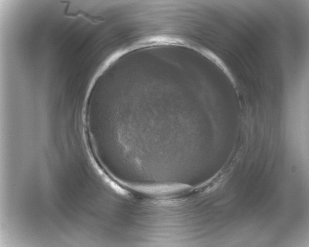 X0000066491381200603201246