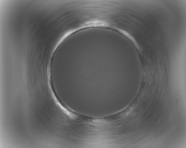 X0000066491383200603201246