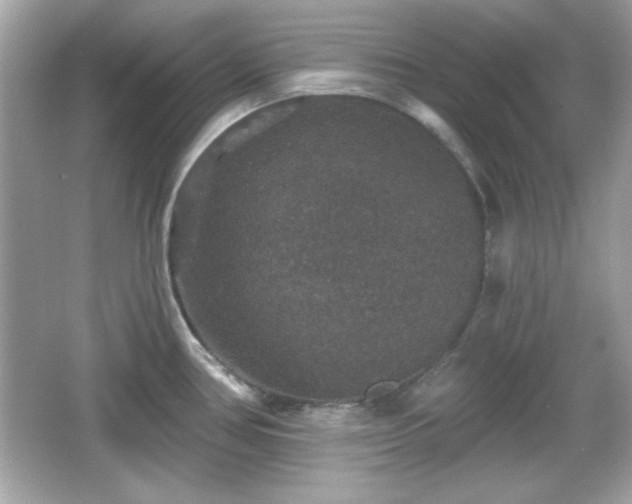 X0000066491386200603201246