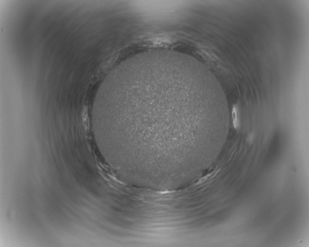 X0000066491395200603201245