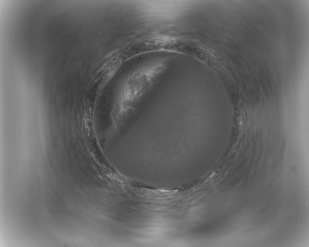 X0000066491397200603201245