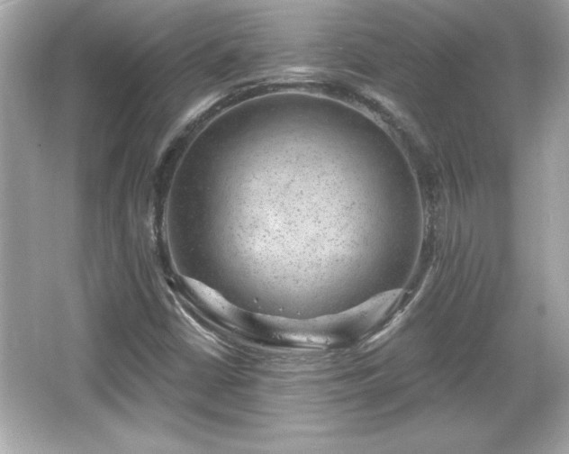 X0000066491402200603201245