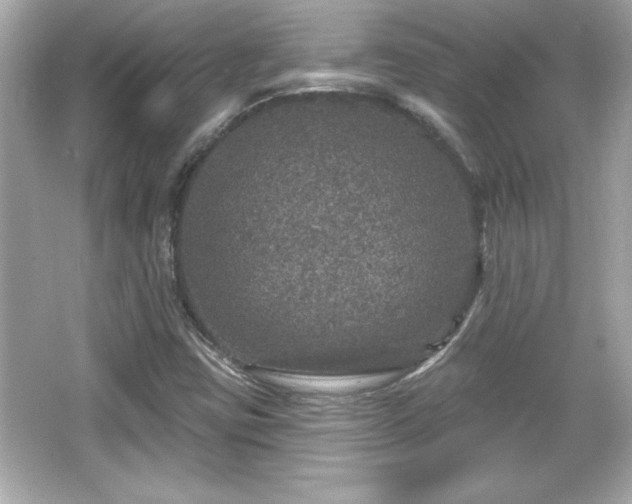 X0000066491403200603201245