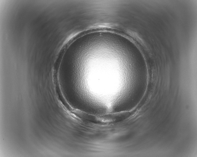 X0000066491404200603201245