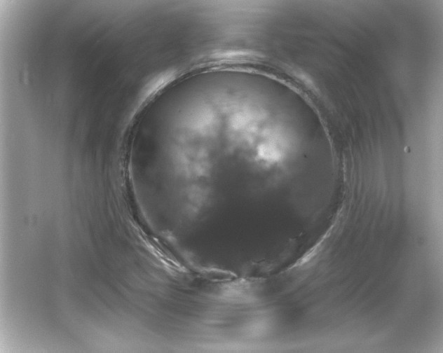 X0000066491405200603201245