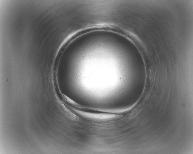 X0000066491412200603201245