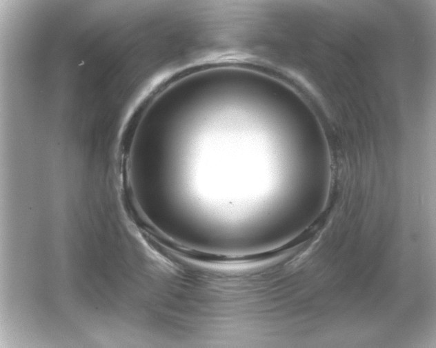X0000066491414200603201245
