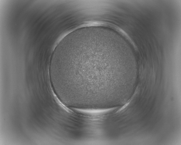 X0000066491417200603201245