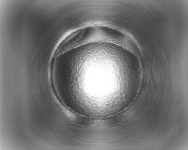 X0000066491424200603201245