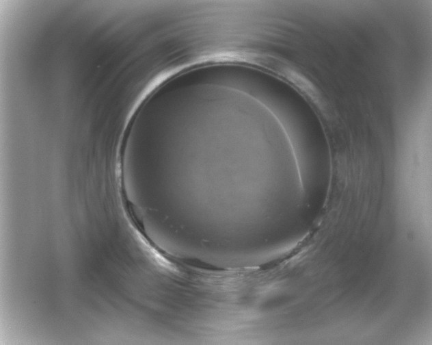 X0000066491428200603201245