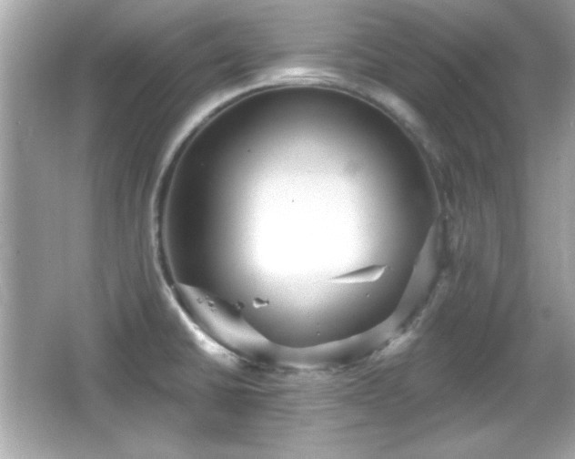 X0000066491430200603201245