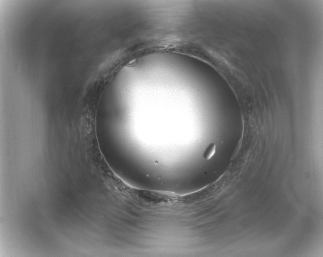 X0000066491447200603201244