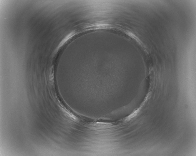 X0000066491450200603201244