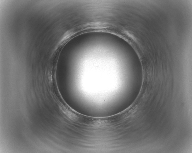 X0000066491451200603201244