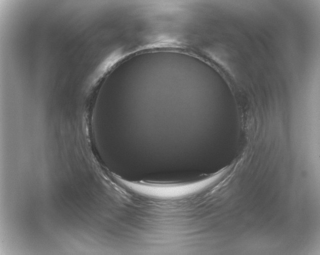 X0000066491455200603201244