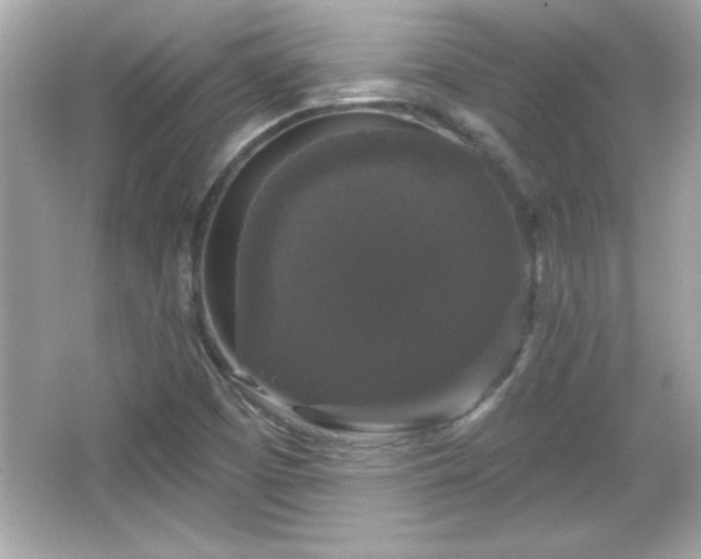 X0000066491457200603201244