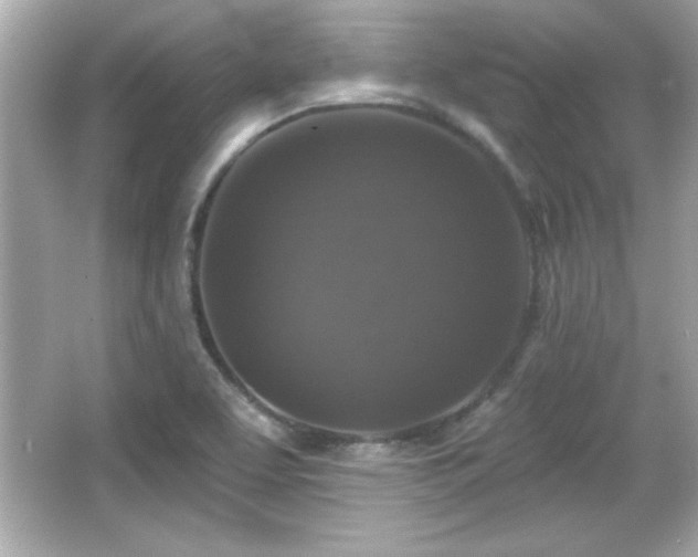 X0000066491463200603201244