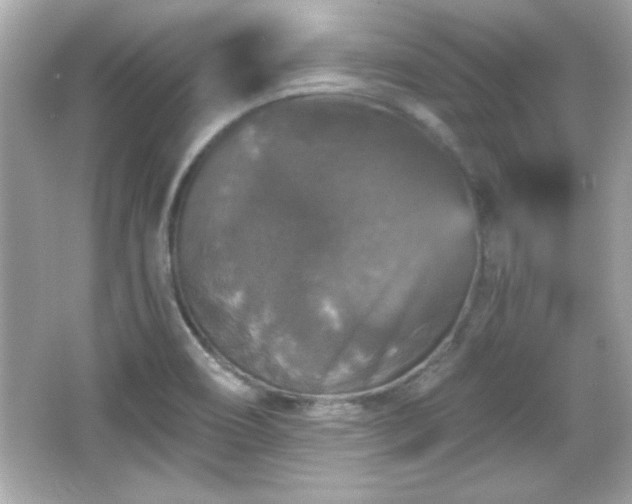 X0000066491466200603201244