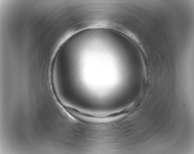 X0000066491480200603201244