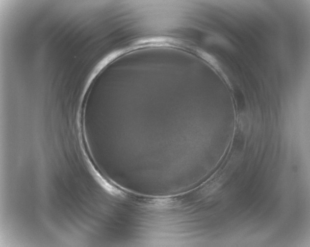 X0000066491482200603201244