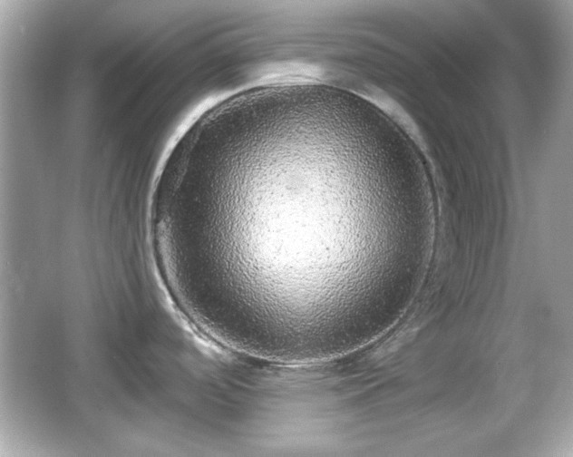 X0000066491488200603201244