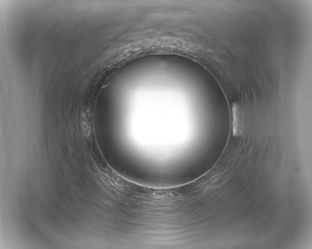 X0000066491491200603201243