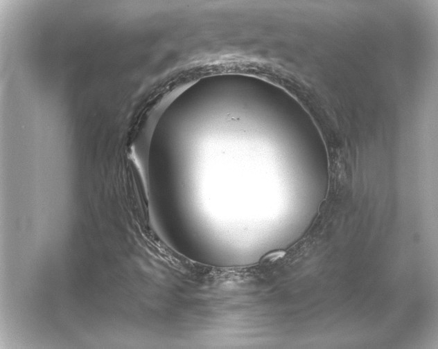 X0000066491493200603201243