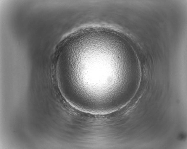 X0000066491494200603201243