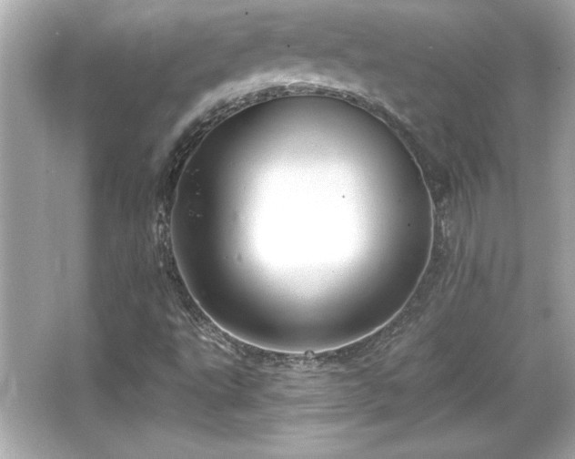 X0000066491495200603201243