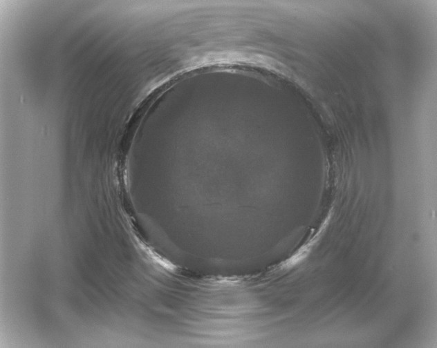 X0000066491497200603201243