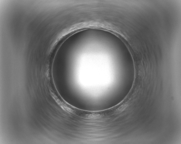 X0000066491499200603201243