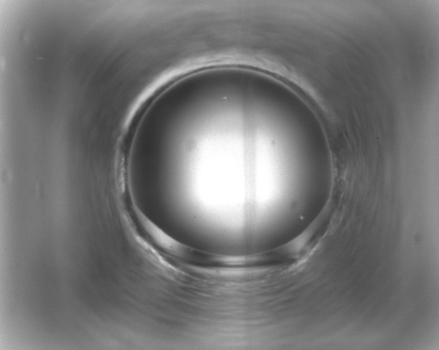 X0000066491510200603201243