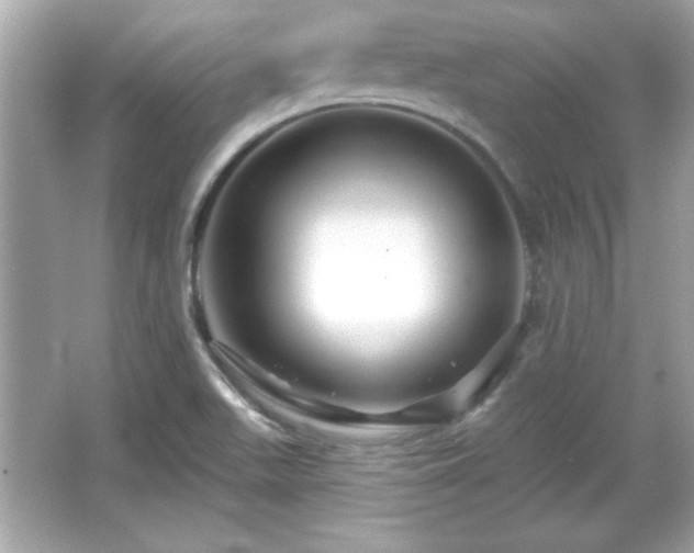 X0000066491511200603201243