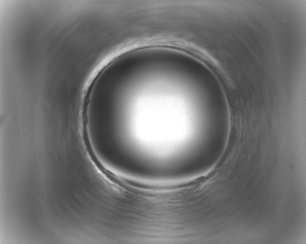 X0000066491512200603201243